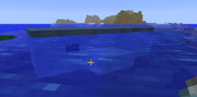 Whale