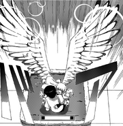 Wings