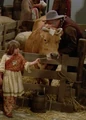 Bringloidi cow.jpg