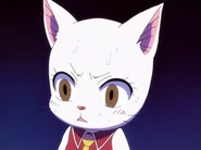 Carla after her premonition