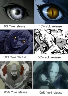 Yoki release