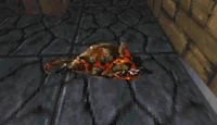 Dead Rat