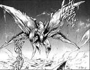 Shiguma