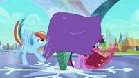 Rainbow Dash covering Twilight and heart S3E1
