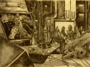 MWBoS and Mutants