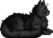 Skywatcher.elder