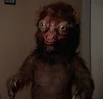 Anya as furry animal.jpg