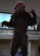 Anya creature.jpg