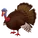 Wild Turkey