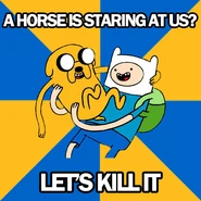 Finnjakememehorse