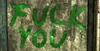 FU