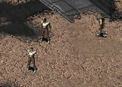 Regulatorguards