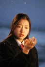 Tree of Heaven16