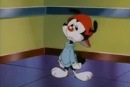 Wakko
