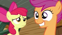 Scootaloo bites her lips S3E06