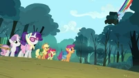 Rainbow holding logs 2 S3E6