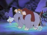 Wof029