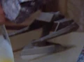 Surak model.jpg