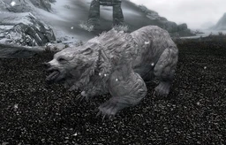 Snow Bear (Skyrim)
