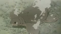 Capture.JPG