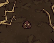 Swamp monster bulge