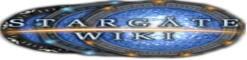 Wiki-3.png