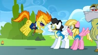 Spitfire yelling at a stallion S3E7