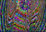 Juyfgwejfwiuifkgewuyfrkuygfewryie