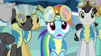 Rainbow Dash disbelief S3E7