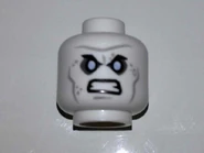 His head.