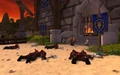 Lions landing scenario gallery1.jpg