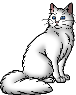 O Guerreiro Perdido, Wiki Gatos Guerreiros