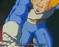 Vegeta ssw