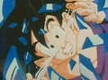 Gohan dwq