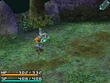 RoF Light Staff