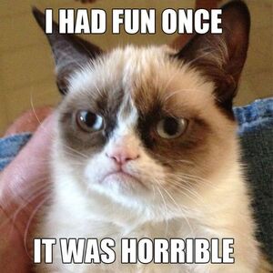 Grumpy-cat