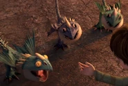 Stormfly