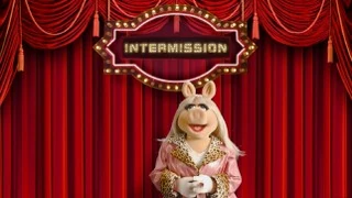 TheMuppetsIntermission
