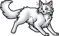 Cloudtail.apprentice