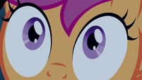 Scootaloo's pupils shrink S3E06