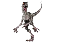 Velociraptor copy