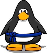 Blue Belt from a Player Card