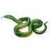 Item colubridae 01