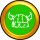 Icon Helmets