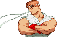 Xsf-ryu1