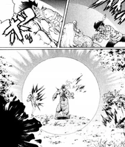 Kaerikotsu