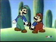 Brothers raccoon
