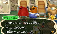 Resetti new leaf