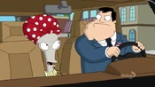 Nationaldisguise