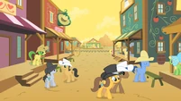 Wide shot of Appleloosa S01E21